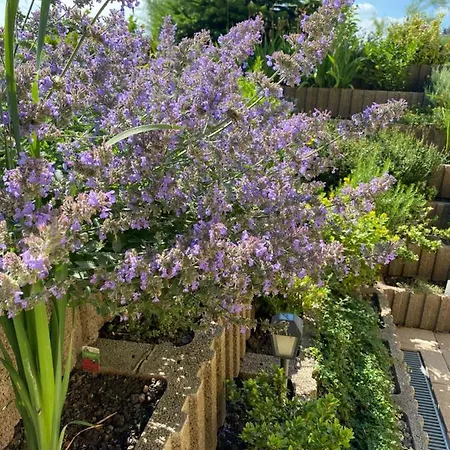 Hellerswiesen Arbeiterunterkunft Bahretal