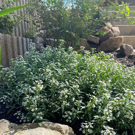 Hellerswiesen Arbeiterunterkunft